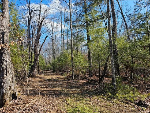 Lot 3 Maria's Way, Webster, WI 54893