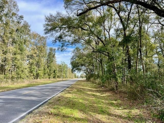 NW County Road 342 #1, Bell, FL 32619