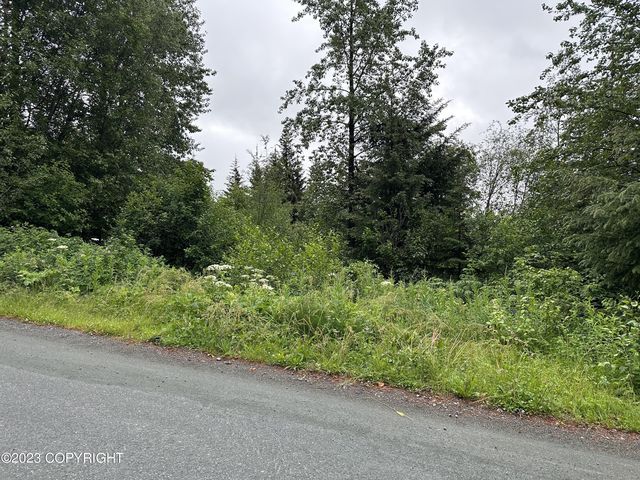 Nhn Unnamed Rd, Haines, AK 99827