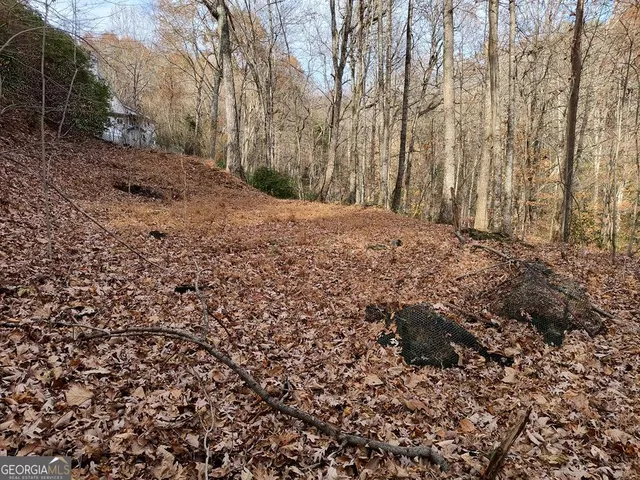 10 Cherokee Trl, Ellijay, GA 30540
