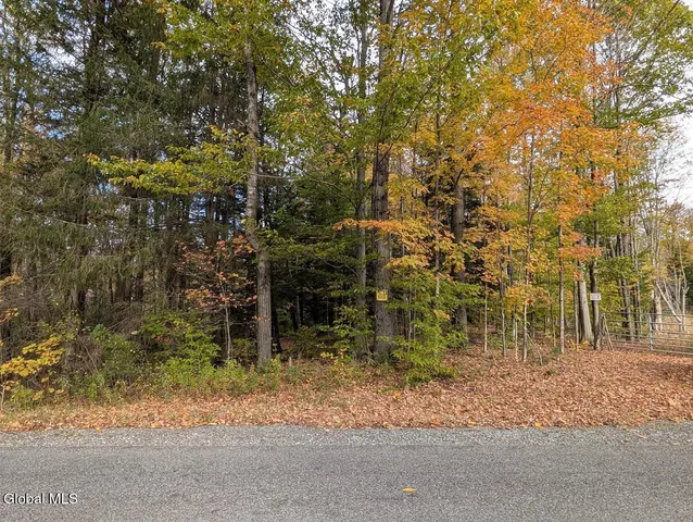 L23.2 Potter Hollow Road, Galway, NY 12074