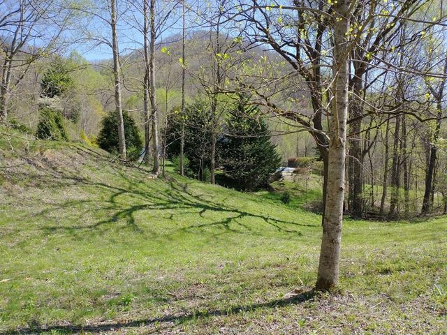 6 High Meadows Dr, Hayesville, NC 28904
