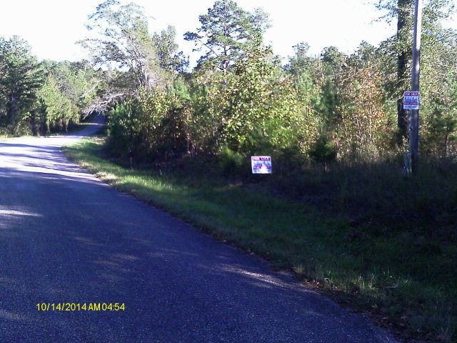 2 County Road Other, Lower Peach Tree, AL 36751