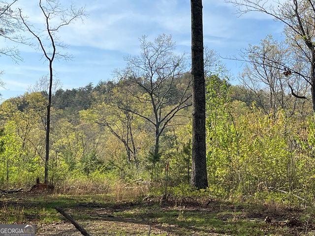 Stone Pile Gap Rd, Ellijay, GA 30540