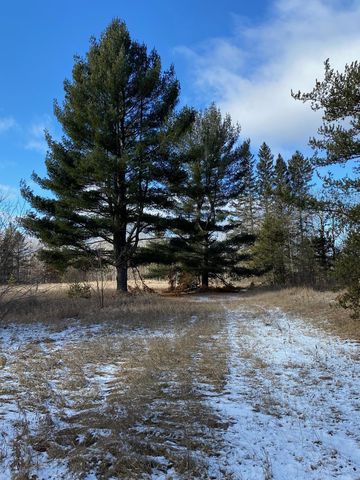 1635 State 84 SW, Pine River, MN 56474