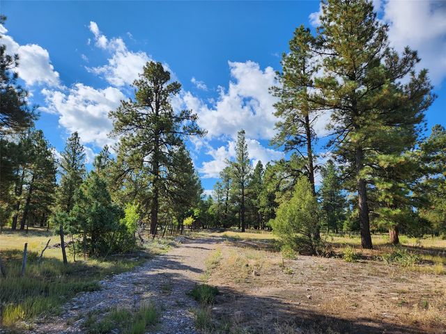 State Road 512, Chama, NM 87520