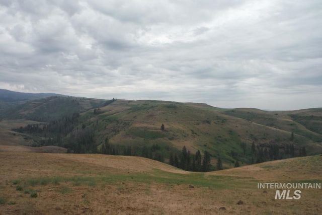 Lot 4 Middle Fork Rd, Council, ID 83612