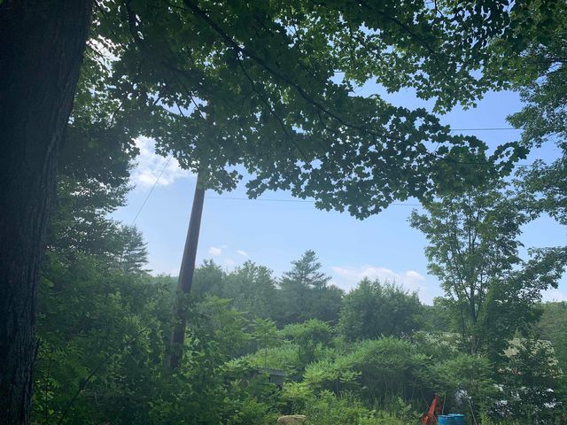 Lot 2 Wellington Hill Road W, Putney, VT 05346