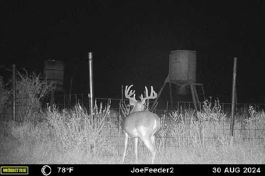 County Road 124, Paducah, TX 79248