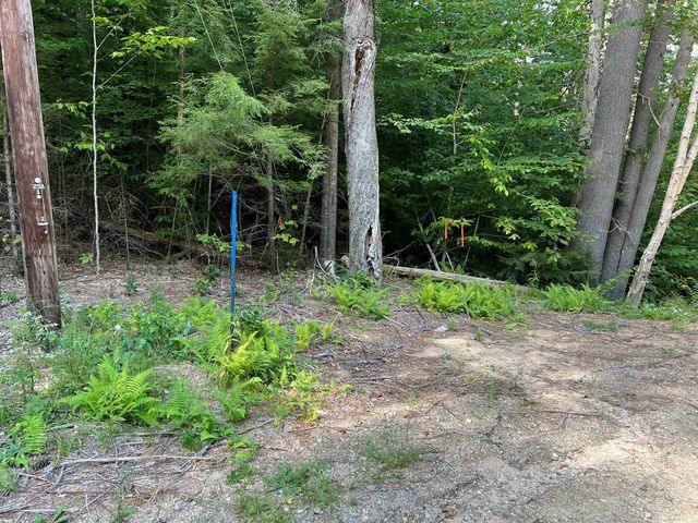 5/3/17 Bell Valley Road, Campton, NH 03223