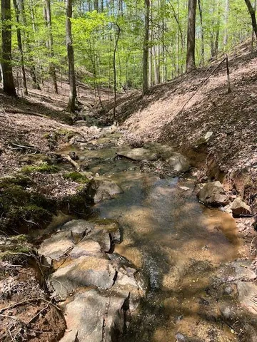 Lot 3421 Hart Ct, Ellijay, GA 30540