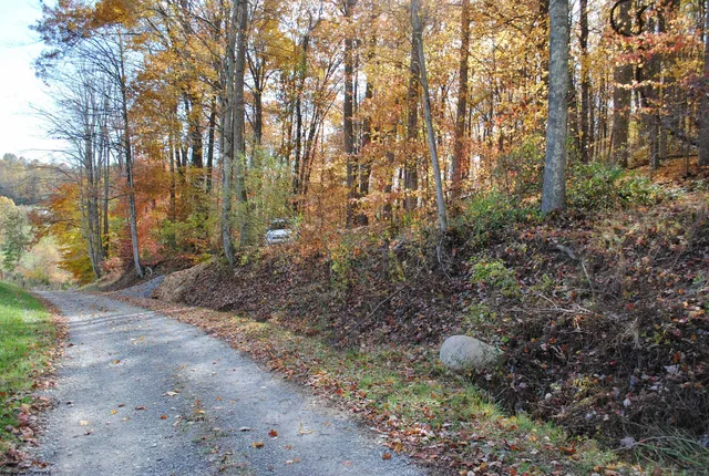 White Rd, Moatsville, WV 26405