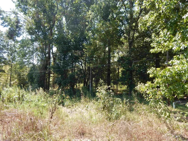 28 Cooter Neck Rd, Heber Springs, AR 72543