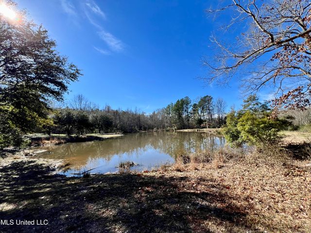 4068 Crooked Creek Rd, Crosby, MS 39633