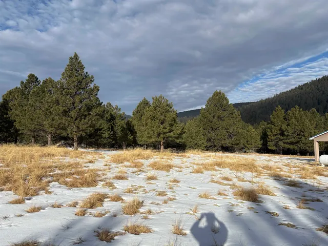 10 Copper Canyon Ct, Cloudcroft, NM 88317