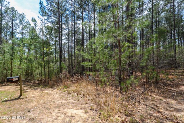 168 Second Wind Court LOT 53 & 54, Jackson Springs, NC 27281
