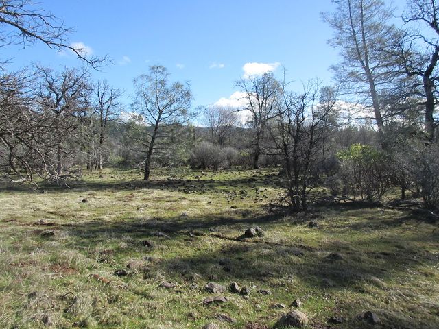 Grindley Ranch Rd, Whitmore, CA 96096