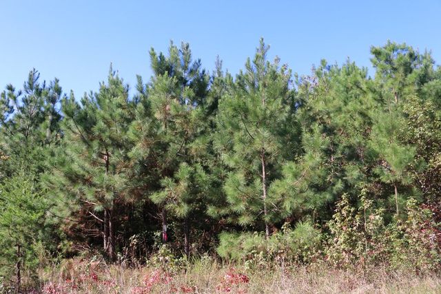 15 Farmville Rd #4, Meherrin, VA 23954