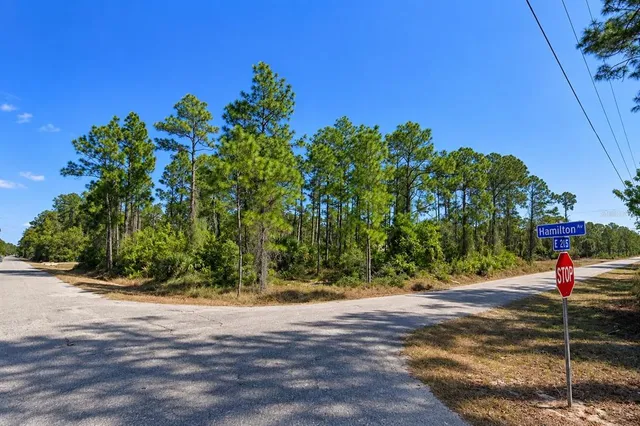3001 E 21ST STREET LOT 12, Alva, FL 33920
