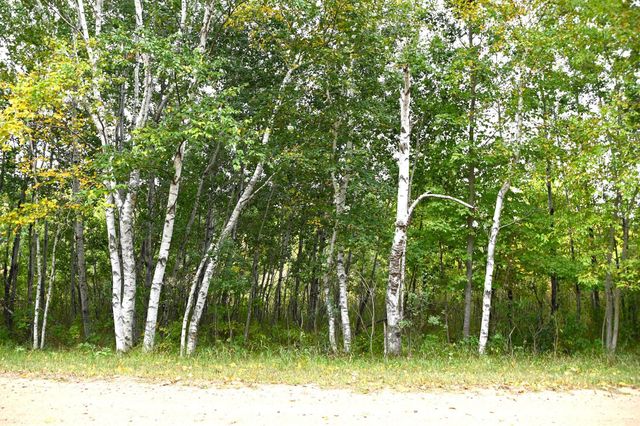 Lot 19 Orchard Dr, Browerville, MN 56438
