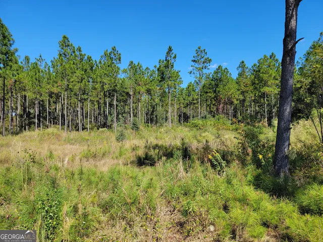 Tuton Rd, Baconton, GA 31716