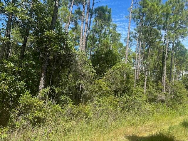 Foxmire Farm Rd, Pt Washington, FL 32459