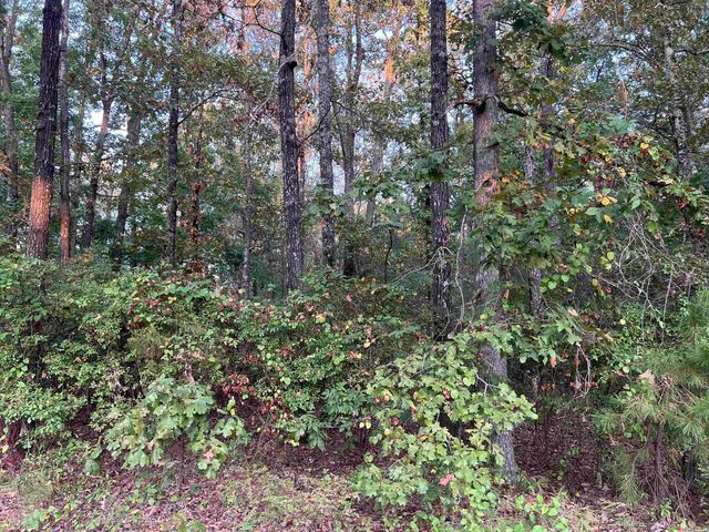 Sidney Flipper, White Hall, AR 71602