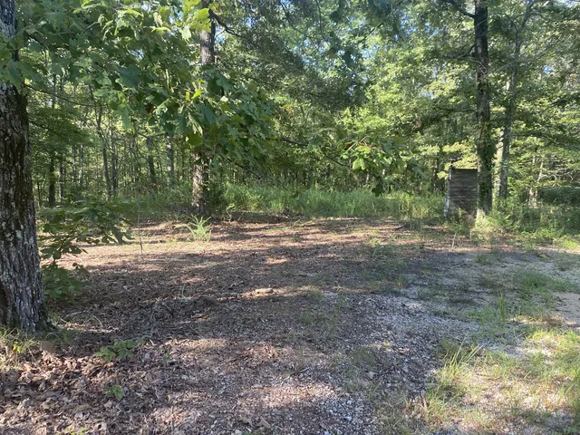 139 Lost Arrowhead Rd #7, Summertown, TN 38483