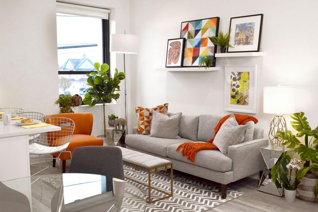 Pet-Friendly Rentals Welcoming Spaces for You and Your Furry Friend