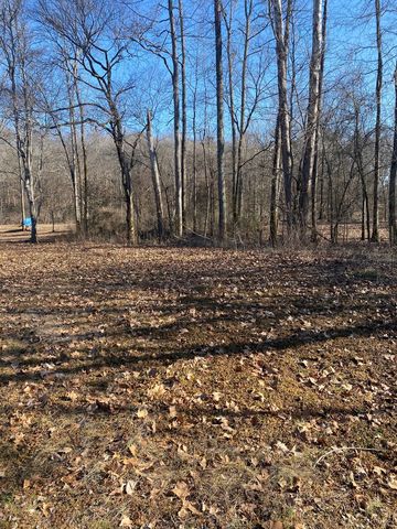 Lot 10 Owners Rd, Westpoint, TN 38486