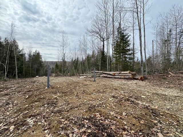 Lot 36-2 Dill Valley Road, Springfield, ME 04487
