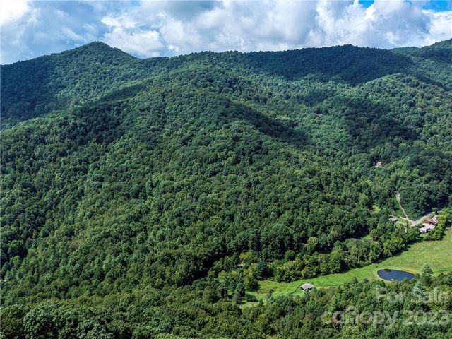 99999 Moody Cove Rd, Weaverville, NC 28787