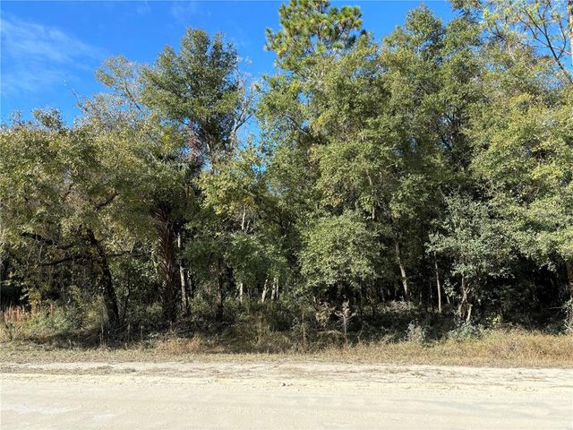 SE 225th Dr #3, Hawthorne, FL 32640