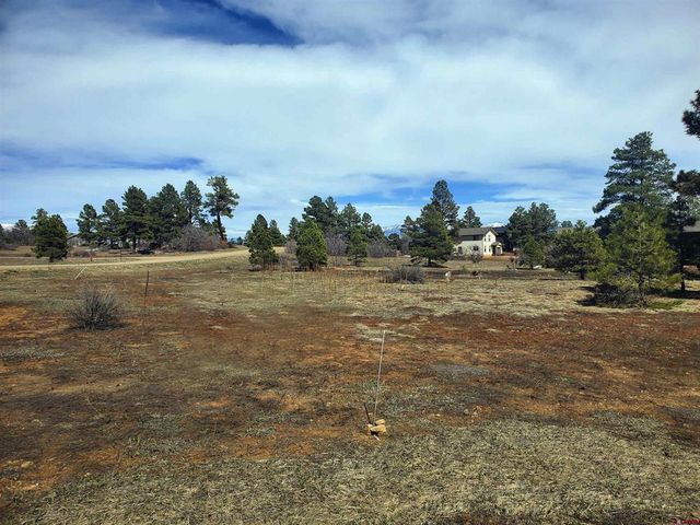 1346 Trails Blvd, Pagosa Springs, CO 81147