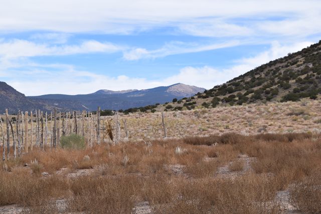 Forest Service Rd   #450, Grants, NM 87020