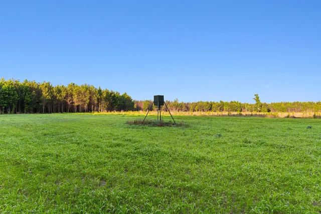 77 Acres - TBD Bert Hanna Rd. #Old Farm Rd, Johnsonville, SC 29555