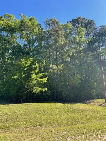 Green Rd, Dothan, AL 36303