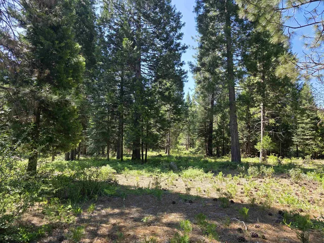 Lot 83 Panther Meadow Dr, McCloud, CA 96057