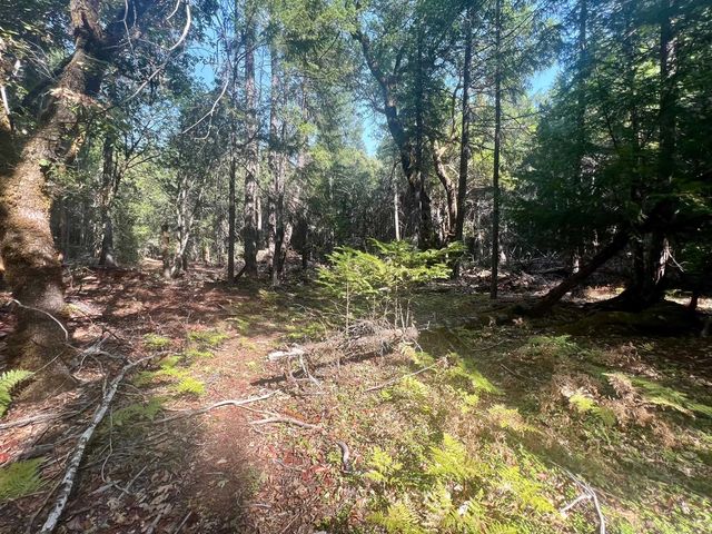 62 Acres Forest Rd   #15N19, Happy Camp, CA 96039