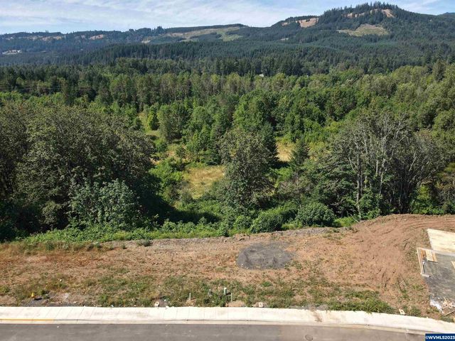 45th Lots 14 15 20 Ave, Sweet Home, OR 97386
