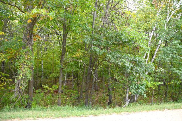 Penny Dr, Browerville, MN 56438