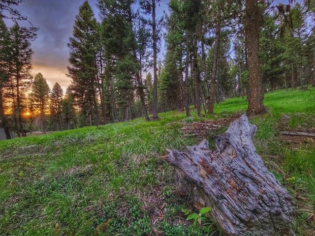 289 Seclusion Point, Seeley Lake, MT 59868