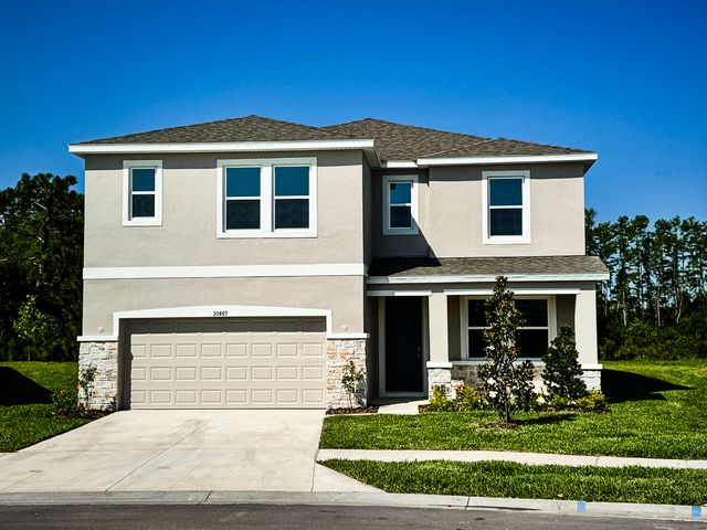 10497 Farm Hill Ave, Land O Lakes, FL 34638