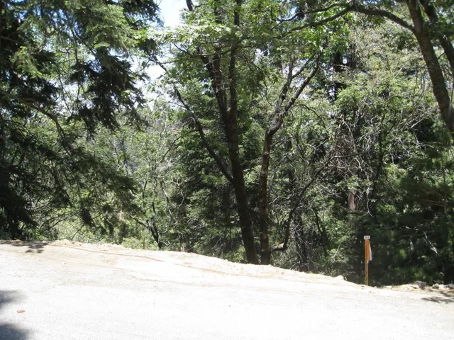 Forest Ln #57, Twin Peaks, CA 92391