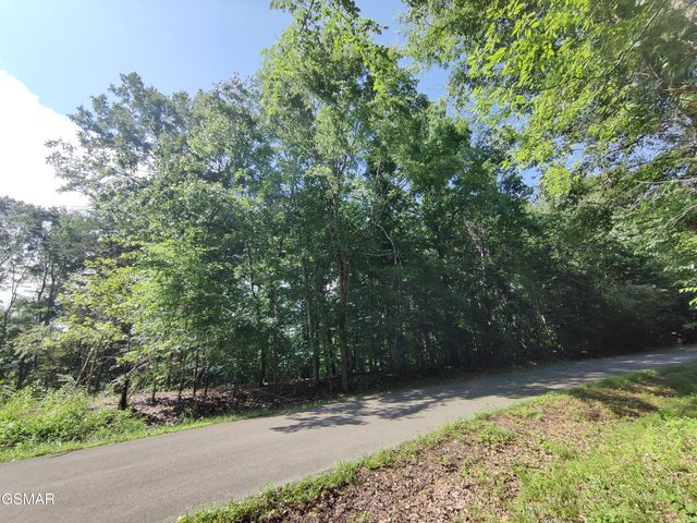 3347 Mountain View Ln, White Pine, TN 37890