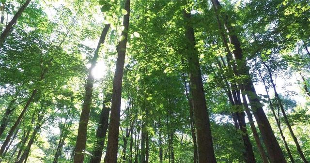 Lasater Rd, Clemmons, NC 27012