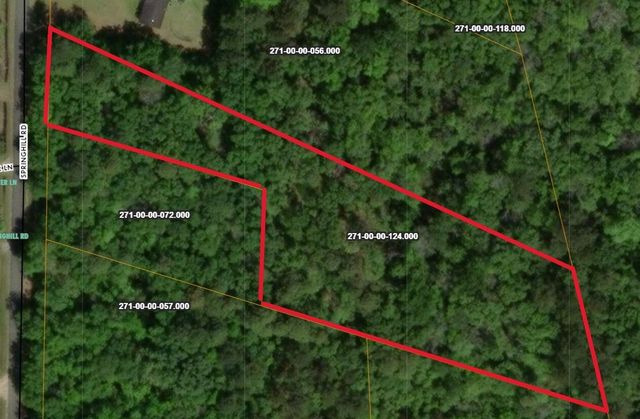 Springhill Rd, Green Pond, SC 29446