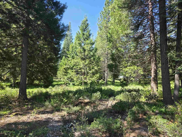 Lot 85 Panther Meadow Dr, McCloud, CA 96057