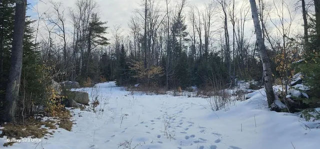Lot 21 River Road, Phillips, ME 04966