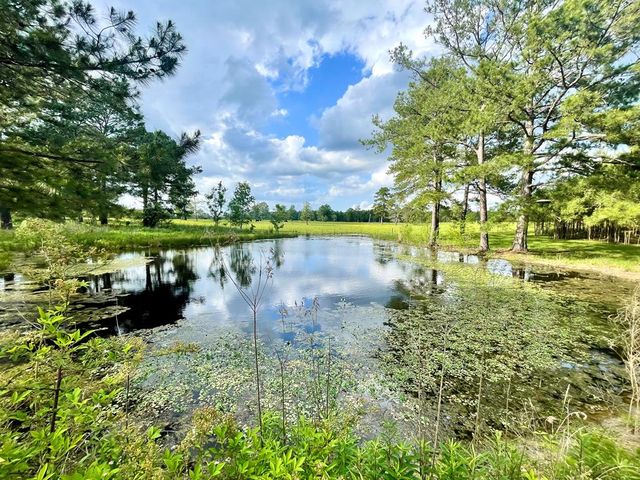 2049 Topisaw Dr SE, Bogue Chitto, MS 39629